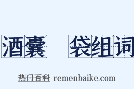 酒囊飯袋组词是什么意思的图片